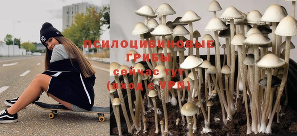круглые Белокуриха