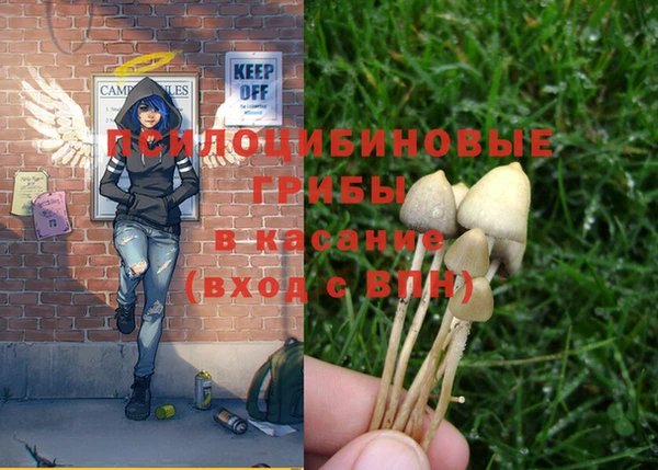 круглые Белокуриха